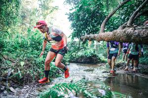 BIB: 
                            <button type="button" onclick="openModal(25443306)" class="btn btn-primary btn-sm float-right btn-popup" data-toggle="modal" data-target=".modal-high-quality">
                        <i class="fas fa-shopping-cart"></i> Add to Cart
                    </button>
                                            <button type="button" onclick="isThisMe(25443306, true)" class="btn btn-success btn-sm float-right btn-popup btn-isme hidden" data-toggle="tooltip" data-placement="bottom" title="นี่คือรูปของคุณใช่ไหม คลิกที่นี่เพื่อเอาเข้าอัลบั้ม">
                        <i class="fas fa-plus"></i> Add to album
                    </button>
                    <button type="button" onclick="isThisMe(25443306, false)" class="btn btn-warning btn-sm float-right btn-popup btn-isnotme hidden">
                        <i class="fas fa-ban"></i> Remove from album
                    </button>